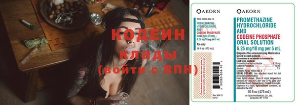 бошки Гусев
