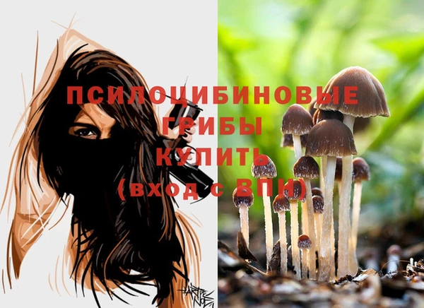 MESCALINE Чегем
