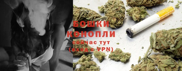 бошки Гусев