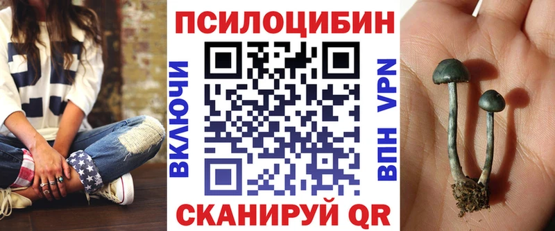блэк спрут как зайти  Октябрьск  Галлюциногенные грибы Psilocybine cubensis 